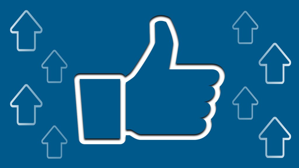 B2B Social Media Followers